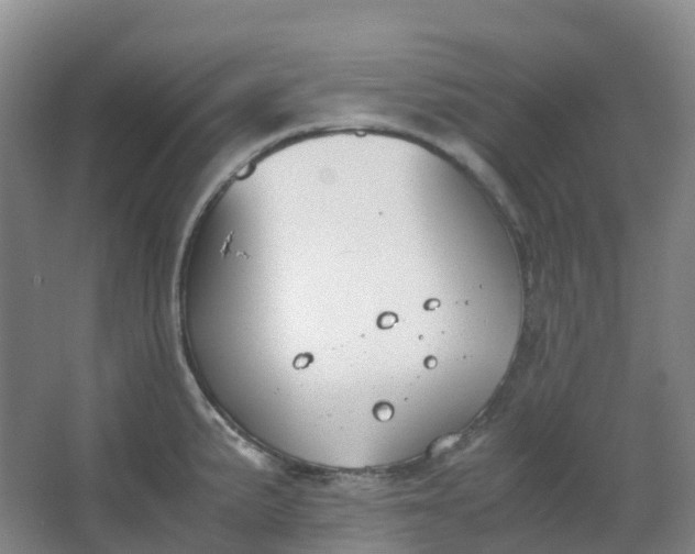 X0000062931191200601271824