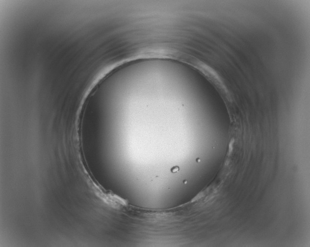 X0000062931192200601271824