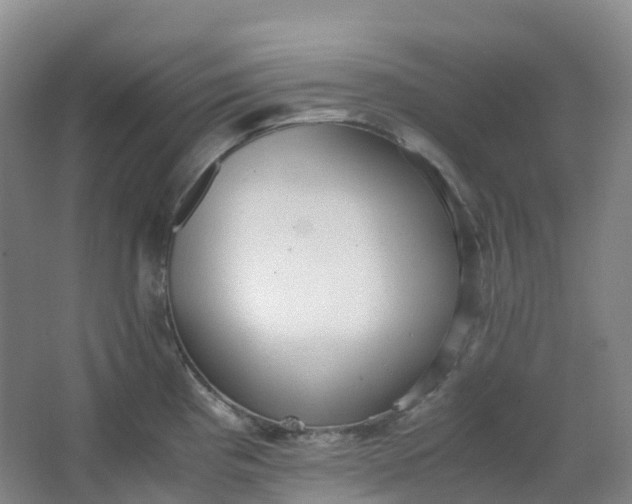 X0000062931193200601271824