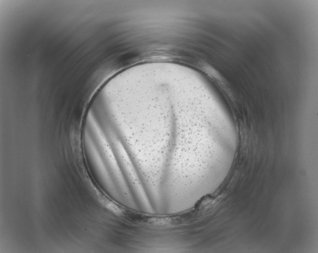 X0000062931194200601271824