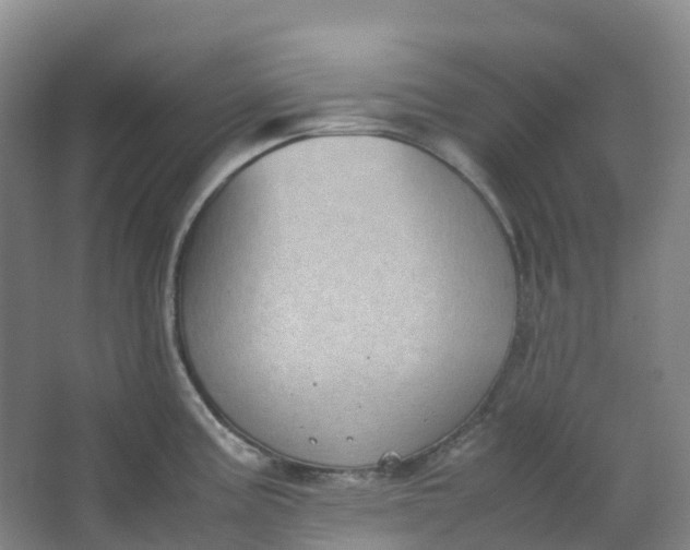 X0000062931195200601271824