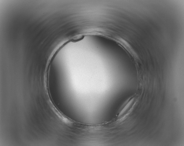 X0000062931196200601271824