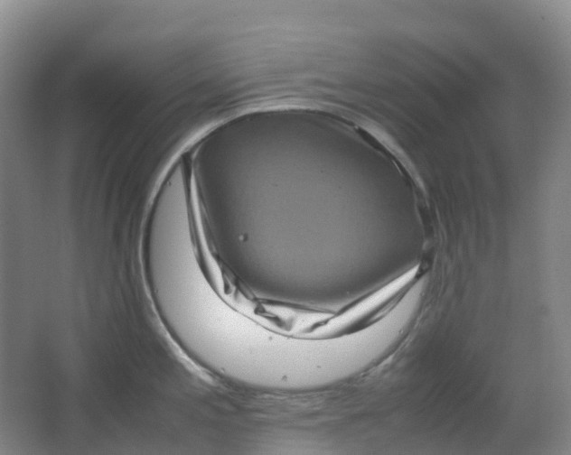 X0000062931197200601271824