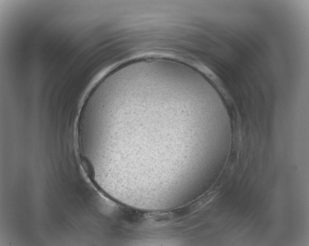 X0000062931199200601271824