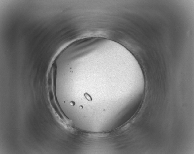 X0000062931200200601271824