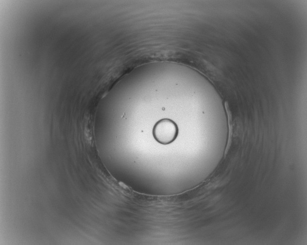 X0000062931202200601271823