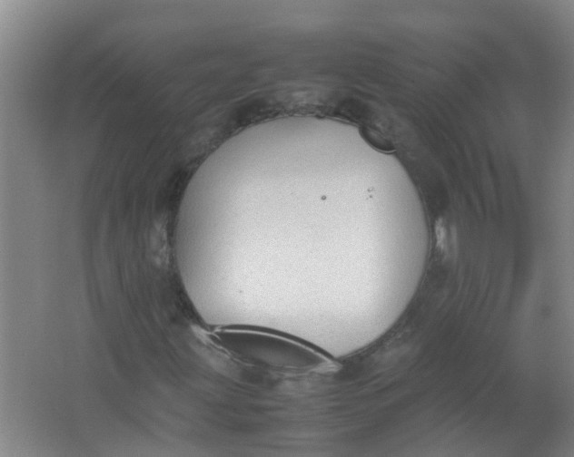 X0000062931203200601271823