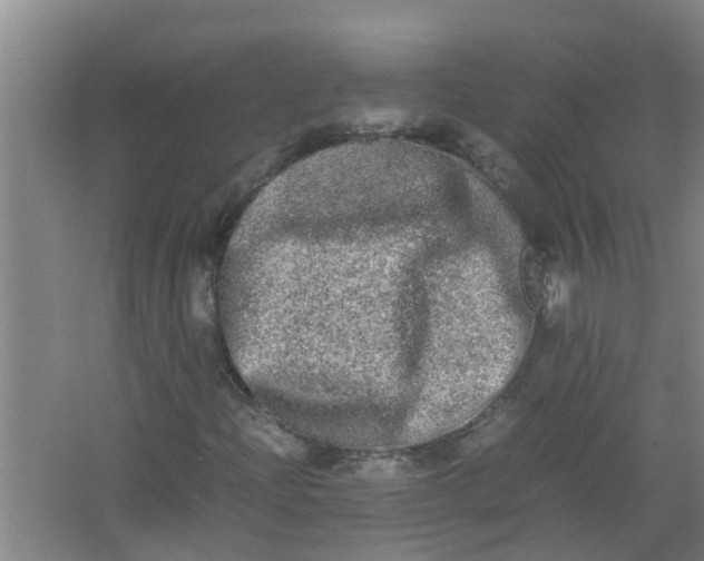 X0000062931204200601271823