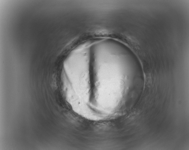 X0000062931205200601271823