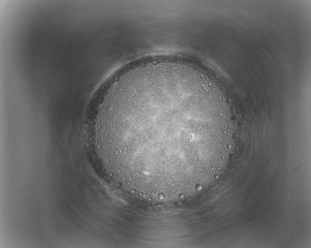 X0000062931208200601271823