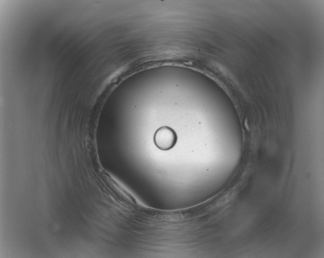 X0000062931210200601271823