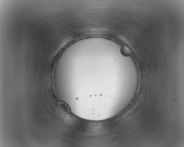 X0000062931211200601271823