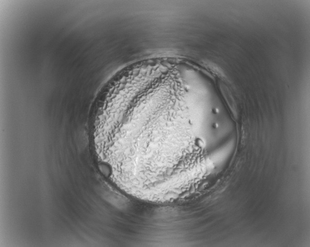 X0000062931212200601271823