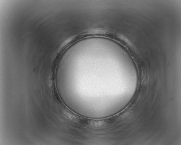 X0000062931213200601271823