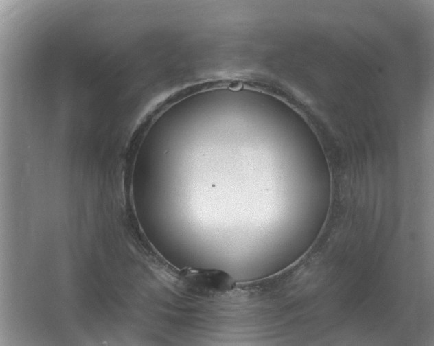 X0000062931214200601271823