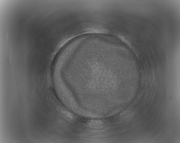 X0000062931215200601271823