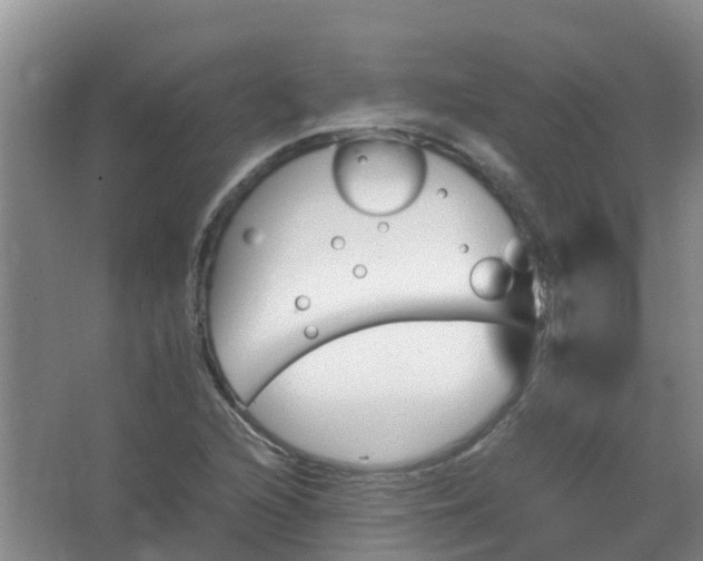 X0000062931216200601271823