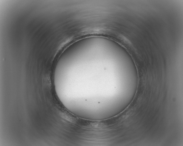 X0000062931218200601271823