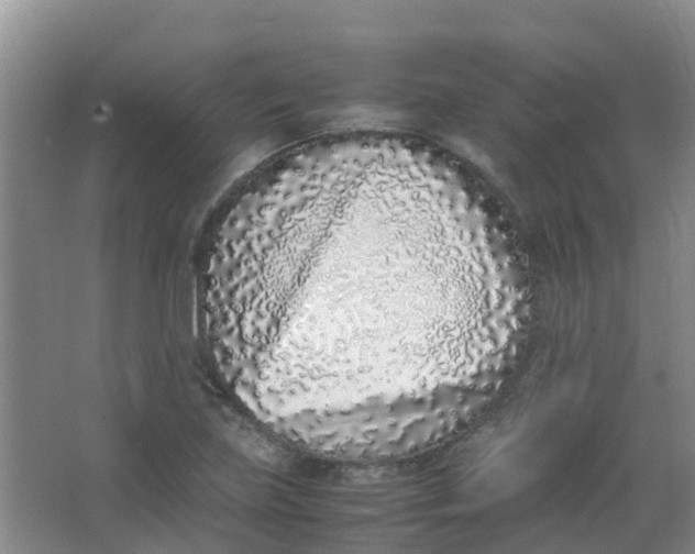 X0000062931219200601271823