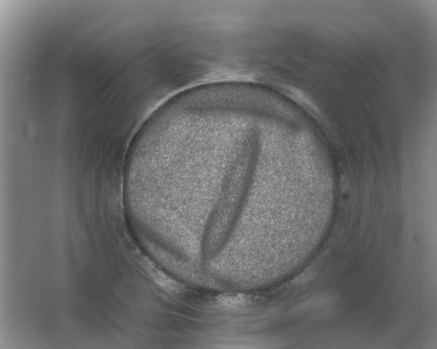 X0000062931220200601271823