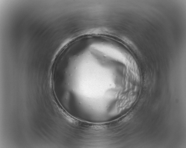 X0000062931224200601271823