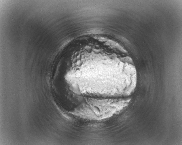 X0000062931225200601271823