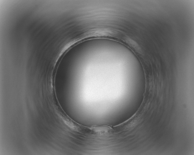 X0000062931226200601271823