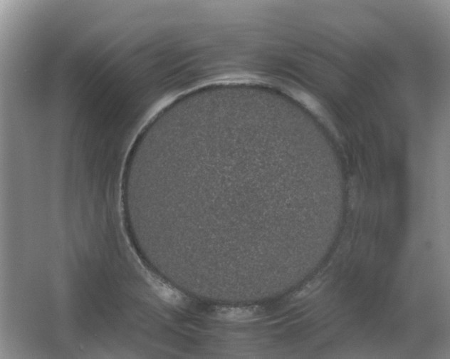 X0000062931229200601271823