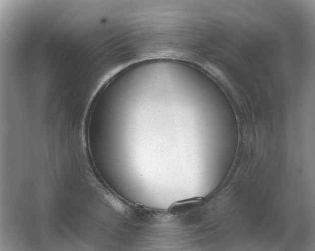 X0000062931230200601271823