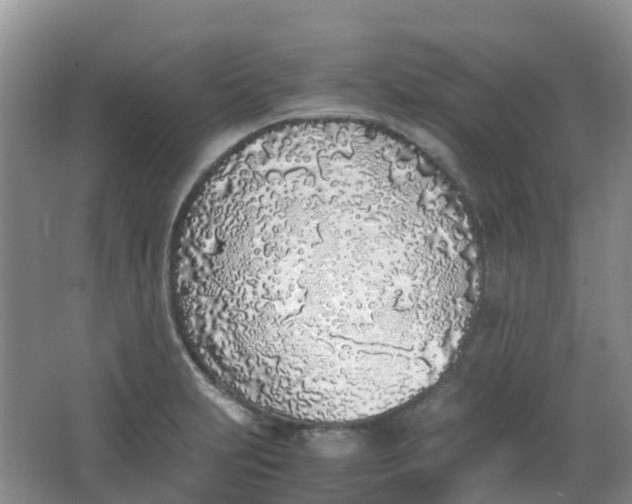 X0000062931231200601271823