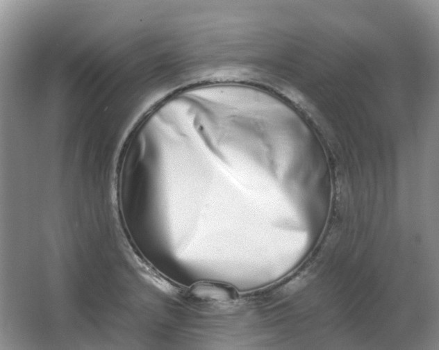 X0000062931232200601271823