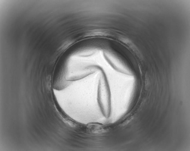 X0000062931233200601271823