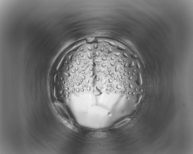 X0000062931235200601271823