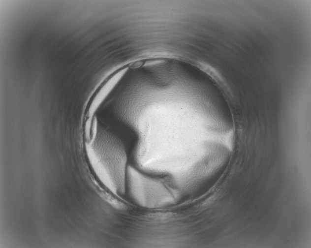 X0000062931236200601271823