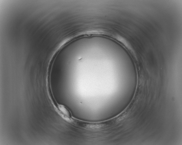 X0000062931237200601271823