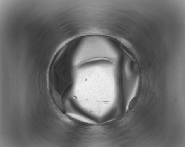 X0000062931238200601271823