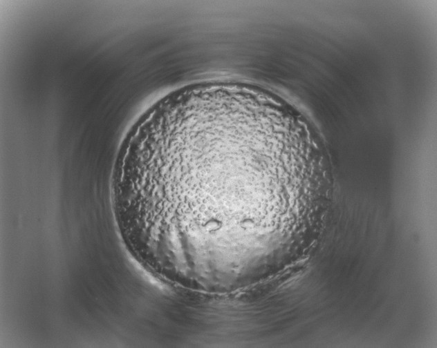 X0000062931239200601271823