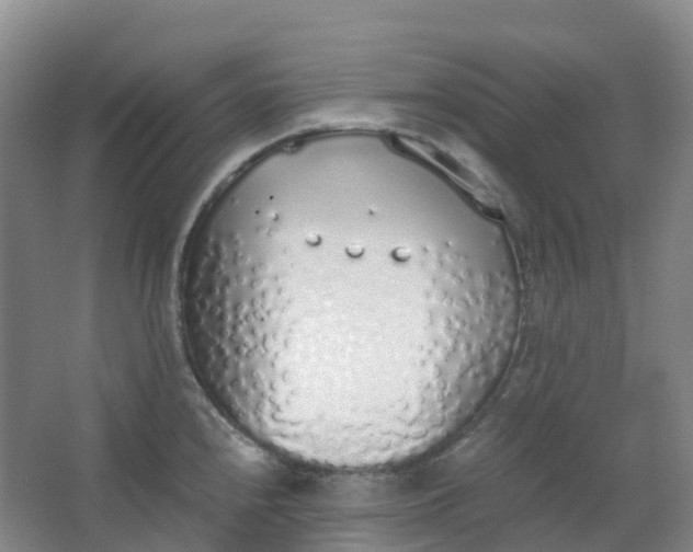 X0000062931240200601271823