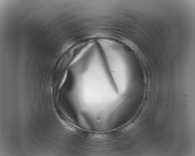 X0000062931241200601271823