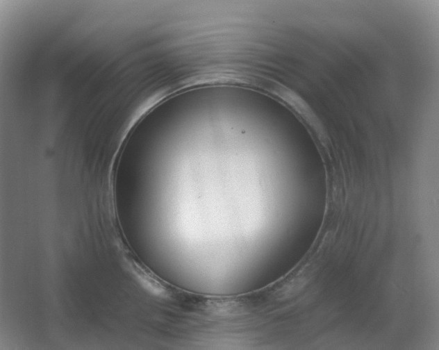 X0000062931242200601271823