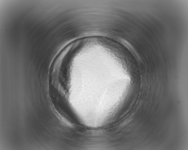 X0000062931244200601271824