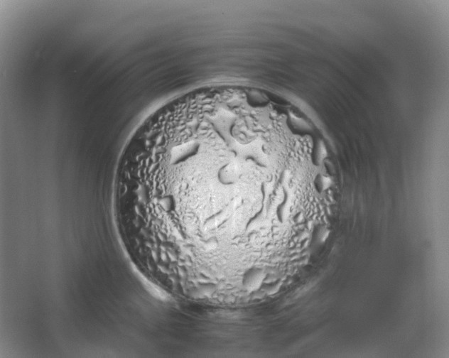 X0000062931245200601271824