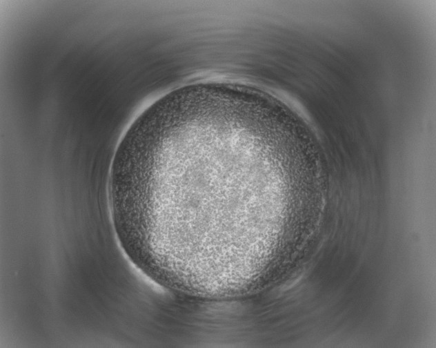 X0000062931247200601271824