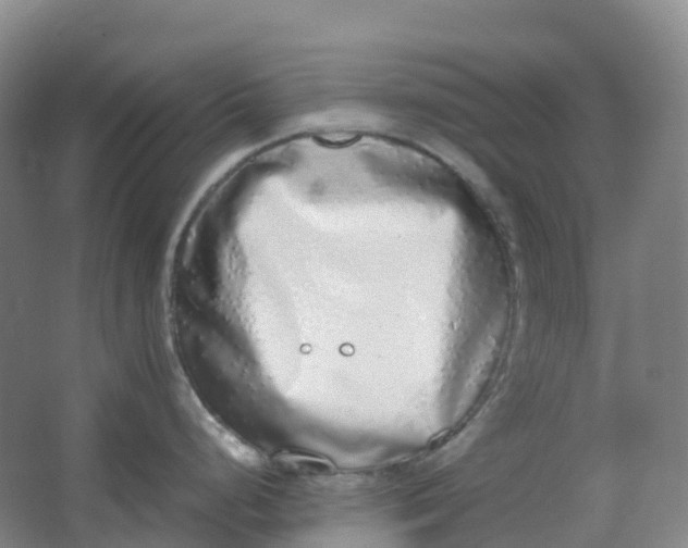 X0000062931248200601271824