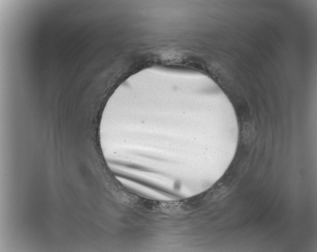 X0000062931249200601271823