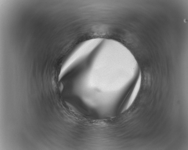 X0000062931250200601271823