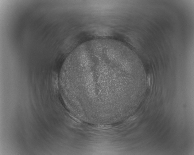 X0000062931251200601271823