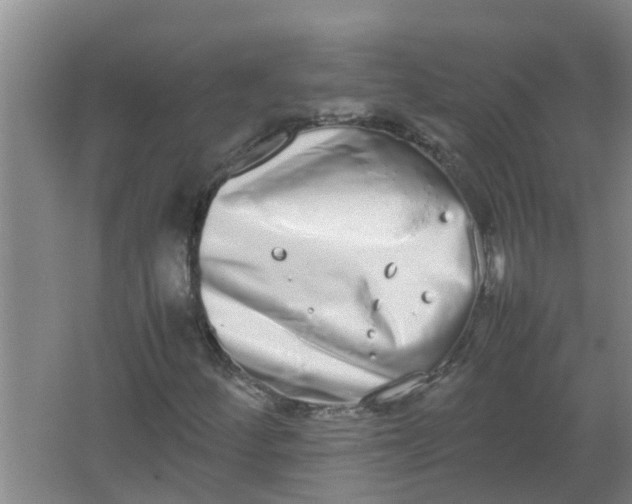 X0000062931252200601271823