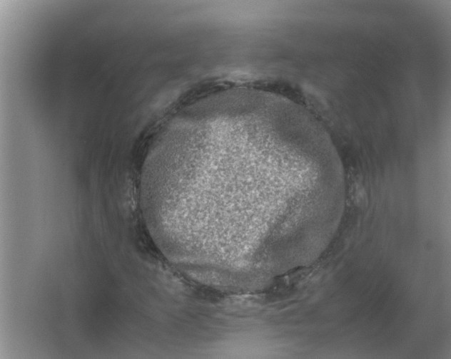 X0000062931253200601271823