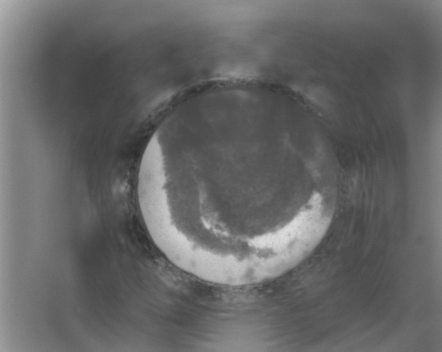 X0000062931254200601271823